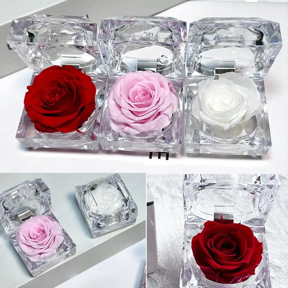 boîte fleurs acrylique transparente moderne rose blanche fleur stabilisée