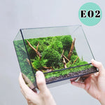 terramium verre transparent plante verte moderne naturel branchages terre inclusion
