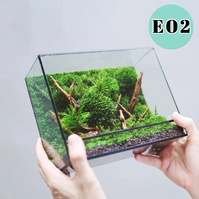 terramium verre transparent plante verte moderne naturel branchages terre inclusion