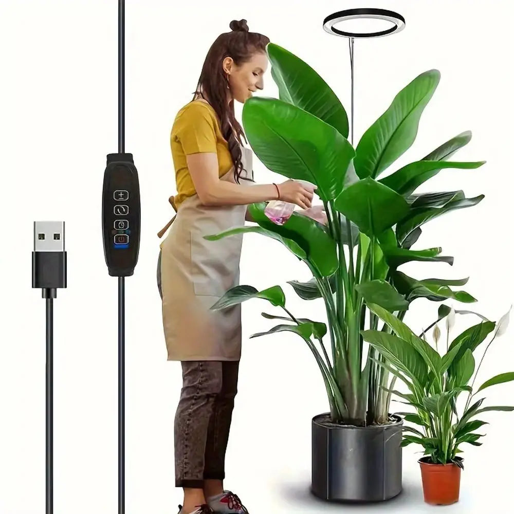 lampe croissance plante moderne minimaliste noir blanc vert rond lumineuse intérieure usb contrôleur câble