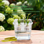 pot hydroponique transparent moderne tulipes sans terre ventilation grille plastique