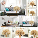 décoration maison bouquet dried flowers naturelles pampas beige rustique vase