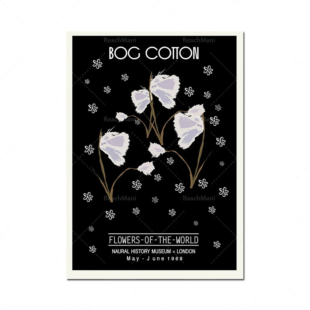 Affiche monochrome mettant en valeur des fleurs de coton blanc sur un fond noir avec des motifs floraux.