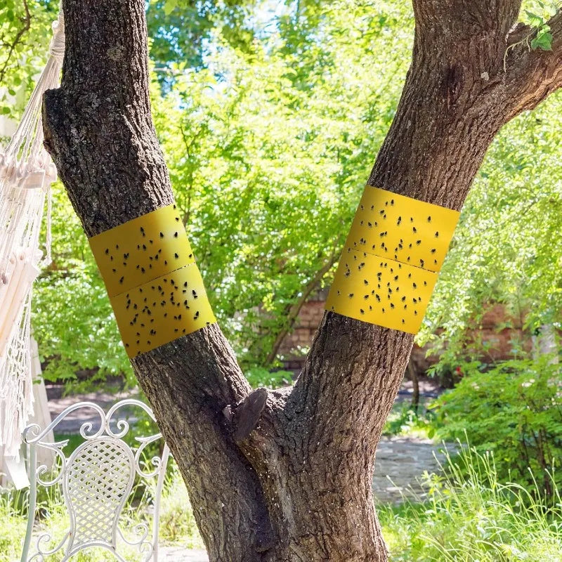 adhésif anti insectes protection arbres serre céréaliers bandes jaunes fourmis mouches moustiques
