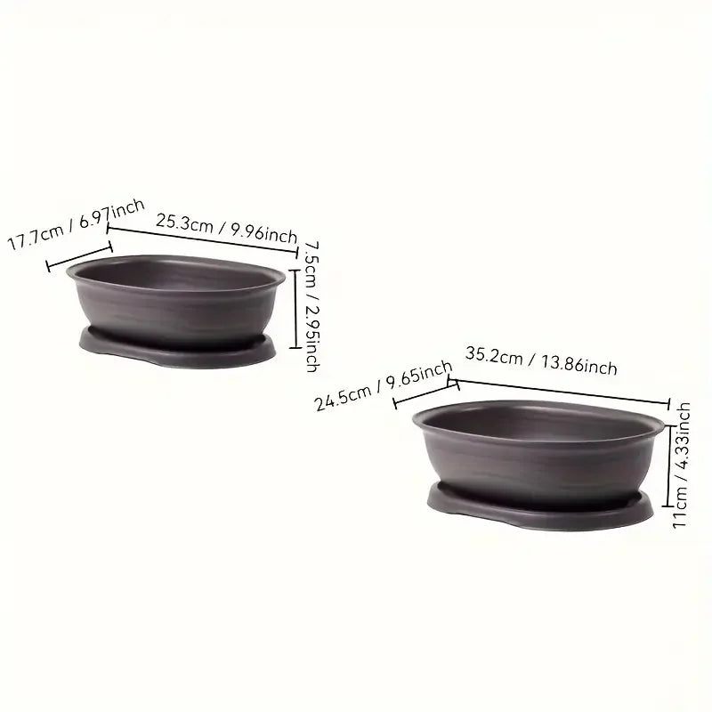 pots fleurs ovales soucoupe drainante bonsaï plante intérieure minimaliste feuilles fines vert clair