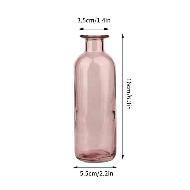 vase verre transparent moderne rose décoration intérieur hydroponique fleuri table studio