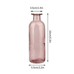 vase verre transparent moderne rose décoration intérieur hydroponique fleuri table studio
