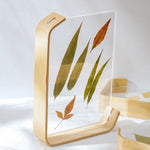 support livre transparent feuilles séchées fleurs séchées moderne minimaliste