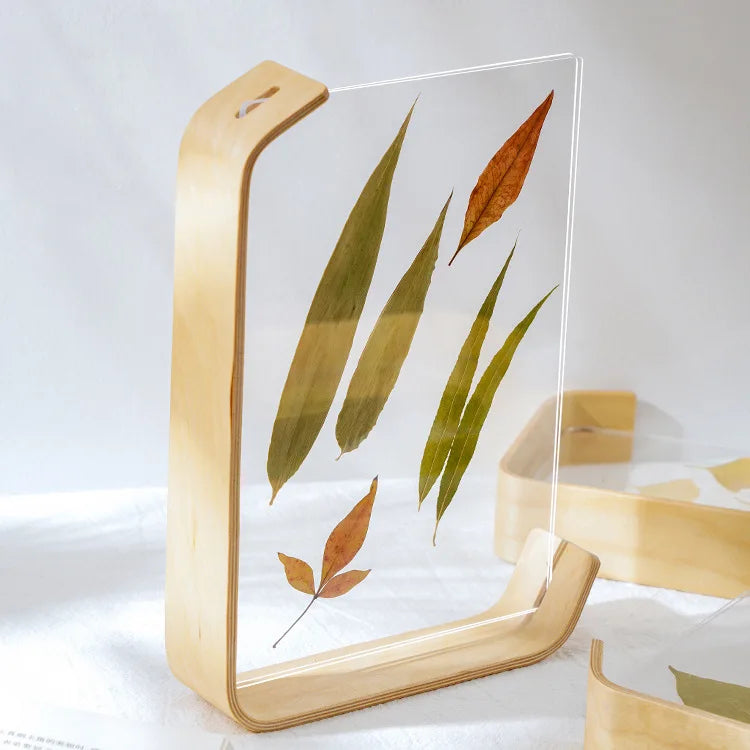 support livre transparent feuilles séchées fleurs séchées moderne minimaliste