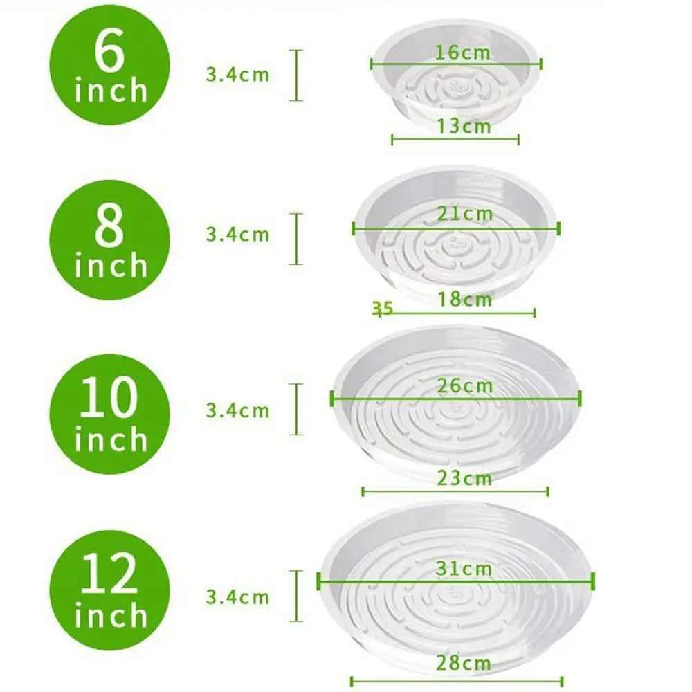 plateau plante transparent moderne 10 12 pouces adhésif concentrique rayures