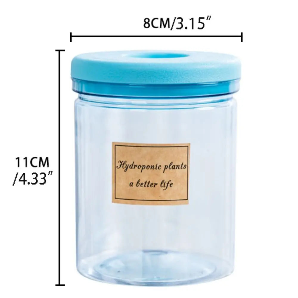 Pot plante hydroponique transparent moderne minimaliste 8cm 10cm 12cm 15cm 20cm