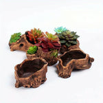 cache pots tronc d'arbre texture bois naturelle rustique marron brun opacité fleur pot ciment