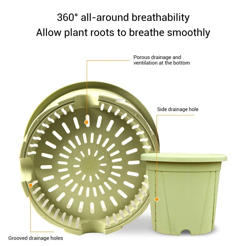 pots racines plastique moderne vertclair beige bleufoncé rayures grille drainage support hydroponie plantes