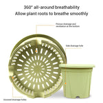 pots racines plastique moderne vertclair beige bleufoncé rayures grille drainage support hydroponie plantes