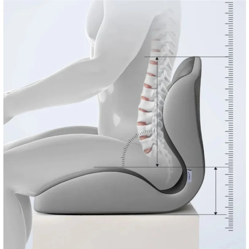 coussin ergonomique mousse mémoire forme correction posture assise soulagement pression texture douce contemporain confortable