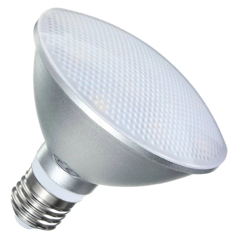 Ampoule LED Argenté 6000K 12W PAR30 Étanche IP65 Dimmable 50000h Moderne