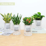 pots fleurs transparents plante verte moderne décoration intérieure minimaliste jardinière supplémentaire