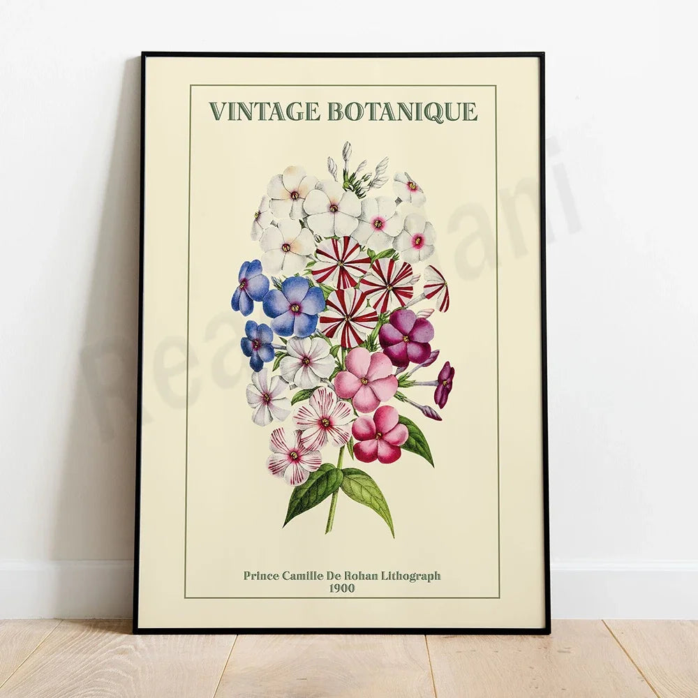 Cette image montre une belle illustration botanique vintage comportant un bouquet de fleurs colorées aux motifs floraux distincts, offrant une vue d'ensemble harmonieuse et élégante.