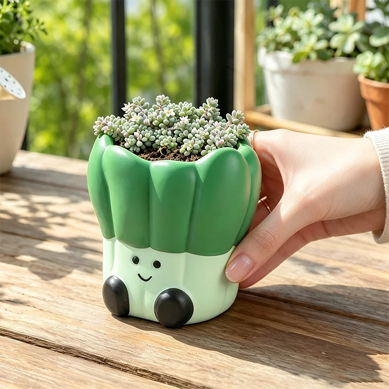 cache pot résine vert clair succulentes mignon visage souriant cactus décoration balcon