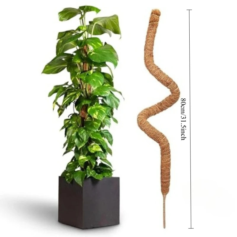 support plante grimpante fibre végétale marron clair naturelle rustique facile utiliser adhésif twine velcrointérieurextérieurbalconjardin