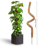 support plante grimpante fibre végétale marron clair naturelle rustique facile utiliser adhésif twine velcrointérieurextérieurbalconjardin