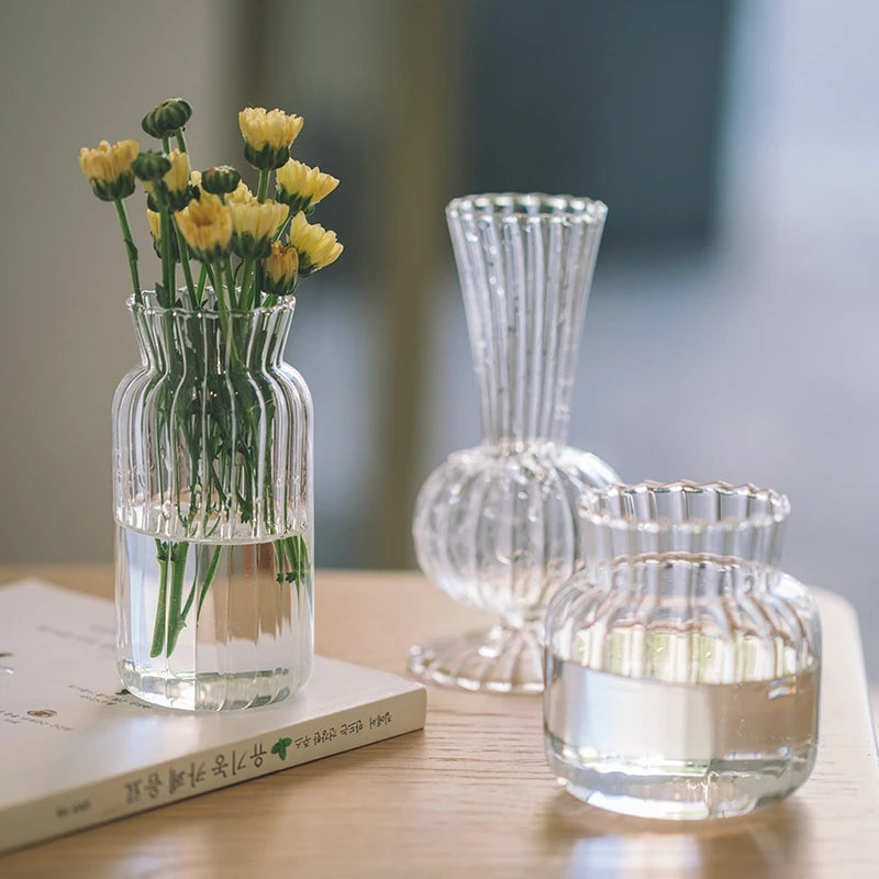vases verre transparent rayés modernes decoration table maison fleurissement hydroponique set