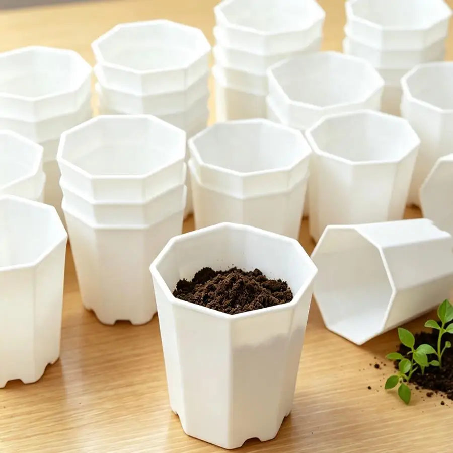pots plante blancs hexagonaux modernes succulentes décoration table 6pcs 12pcs 24pcs