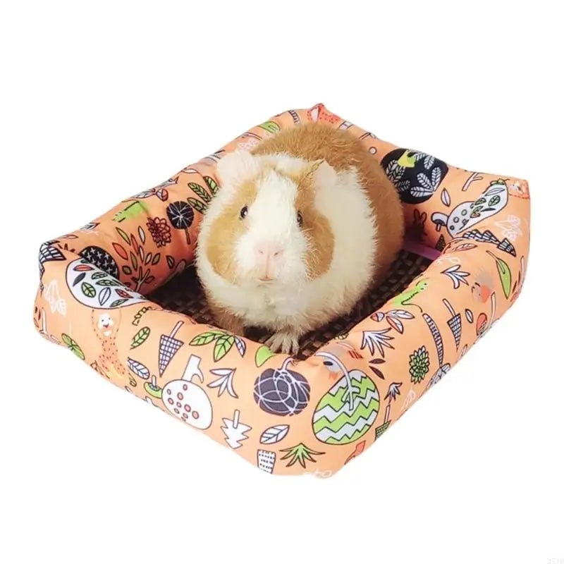 lit hamster confortable moderne fraises roses fond rose clair marron clair blanc