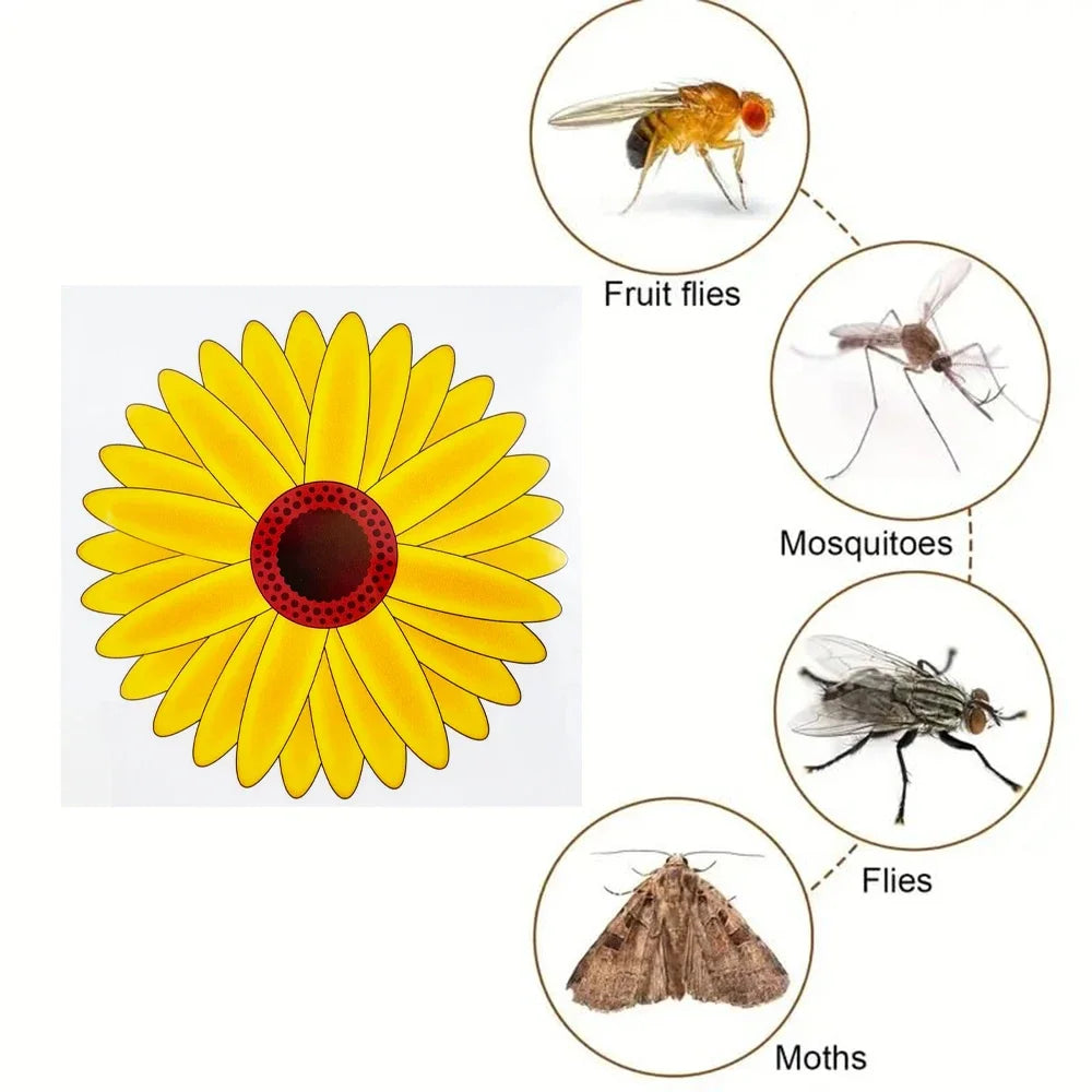 pièges insectes fleur tournesol adhésifs fenêtre transparents jaune rouge blanc marron utilitaires décoratifs