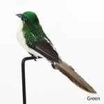 ornements décoration oiseaux artificiels plumage brillant points dorés gris orange vert jaune marron bleu