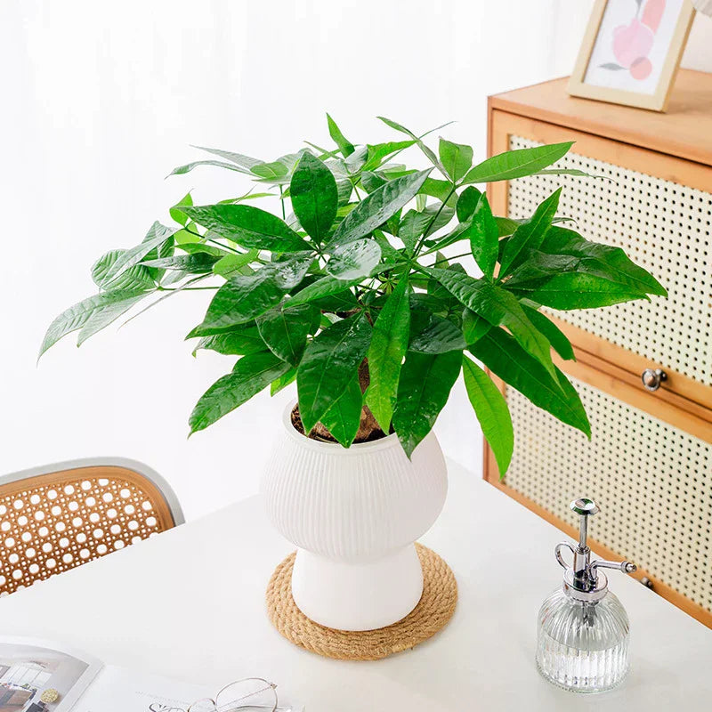 vase moderne plastique blanc imitation céramique ridée décoration intérieur salon