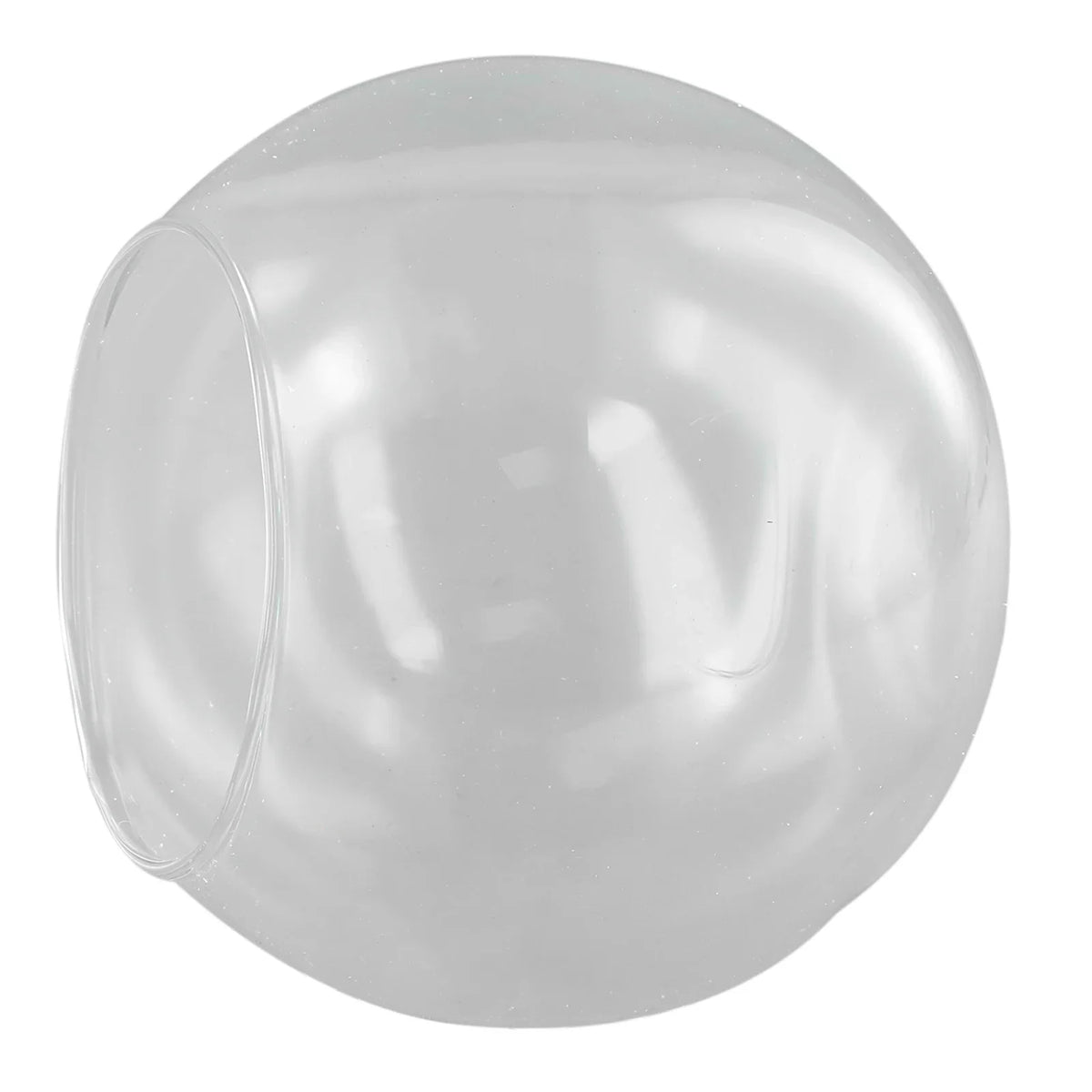 boule verre transparent moderne décoration intérieure élégante minimaliste vase terrarium fleurs succulentes
