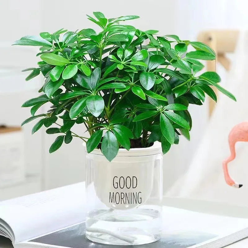 plante artificielle verte feuilles arrondies décoration intérieure pot céramique blanc feuilles plastique branche naturelle