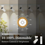 Spot LED moderne 20W dimmable noir blanc télécommande clips fixations chambre cuisine