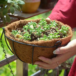 pots fleurs suspendus coir noir marron chaînes métalliques moderne minimaliste jardinintérieur