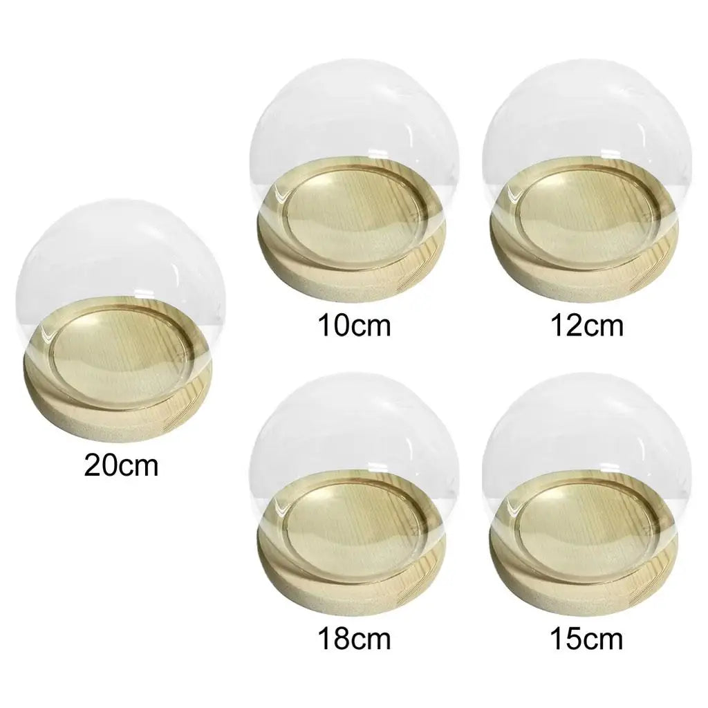 boule verre transparente base bois moderne décoration table terrarium cloche jarretière cloche d'affichage