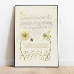 Cette image artistique montre des fleurs décoratives entourant un texte orné en latin.