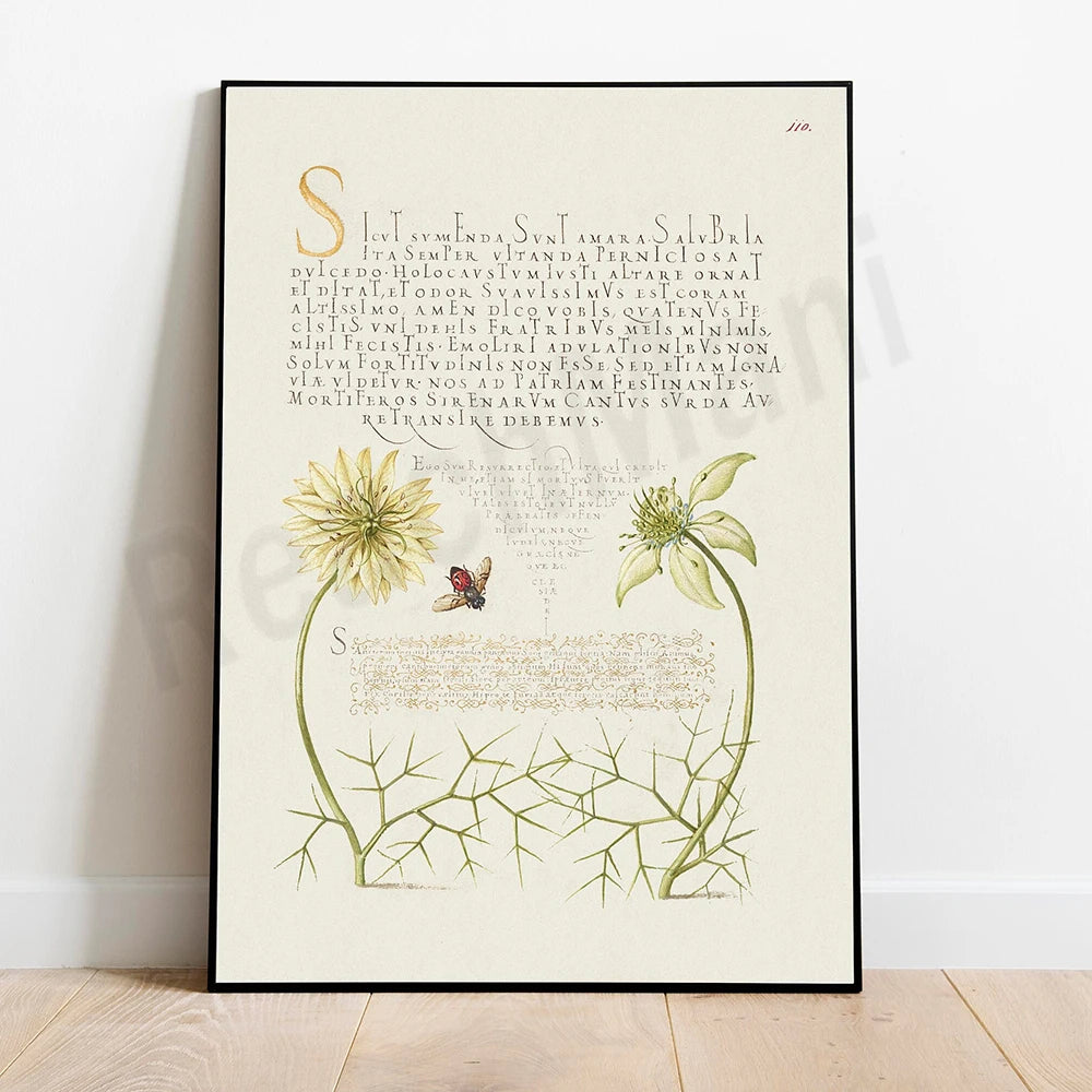 Cette image artistique montre des fleurs décoratives entourant un texte orné en latin.