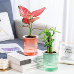 pot plantes moderne bleu vert rose rayures horizontales autoarrosant plante