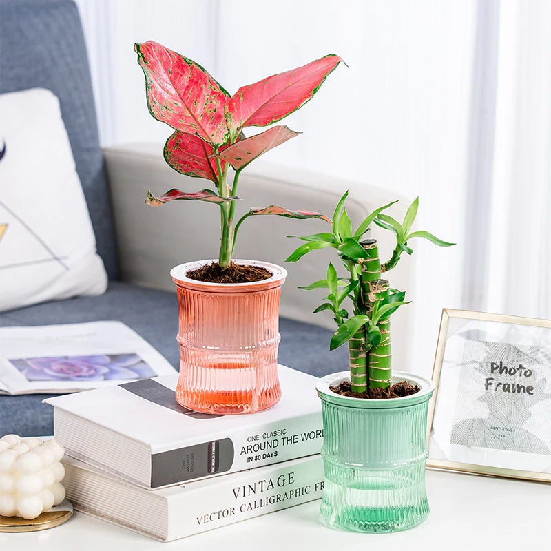 pot plantes moderne bleu vert rose rayures horizontales autoarrosant plante