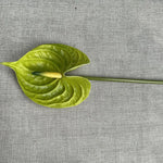 fleurs artificielles rouge vert blanc modernes intérieur décoration maison tringle fixée set pièces