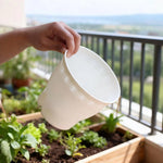 pots fleurs résine moderne blanc gris soucoupes arrosoir décoration intérieure plantes vertes