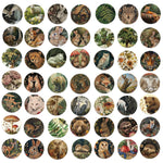 autocollants animaux forêt multicolores waterproof adhésifs unique illustration renard ours oiseaux 50pcs étanches portables