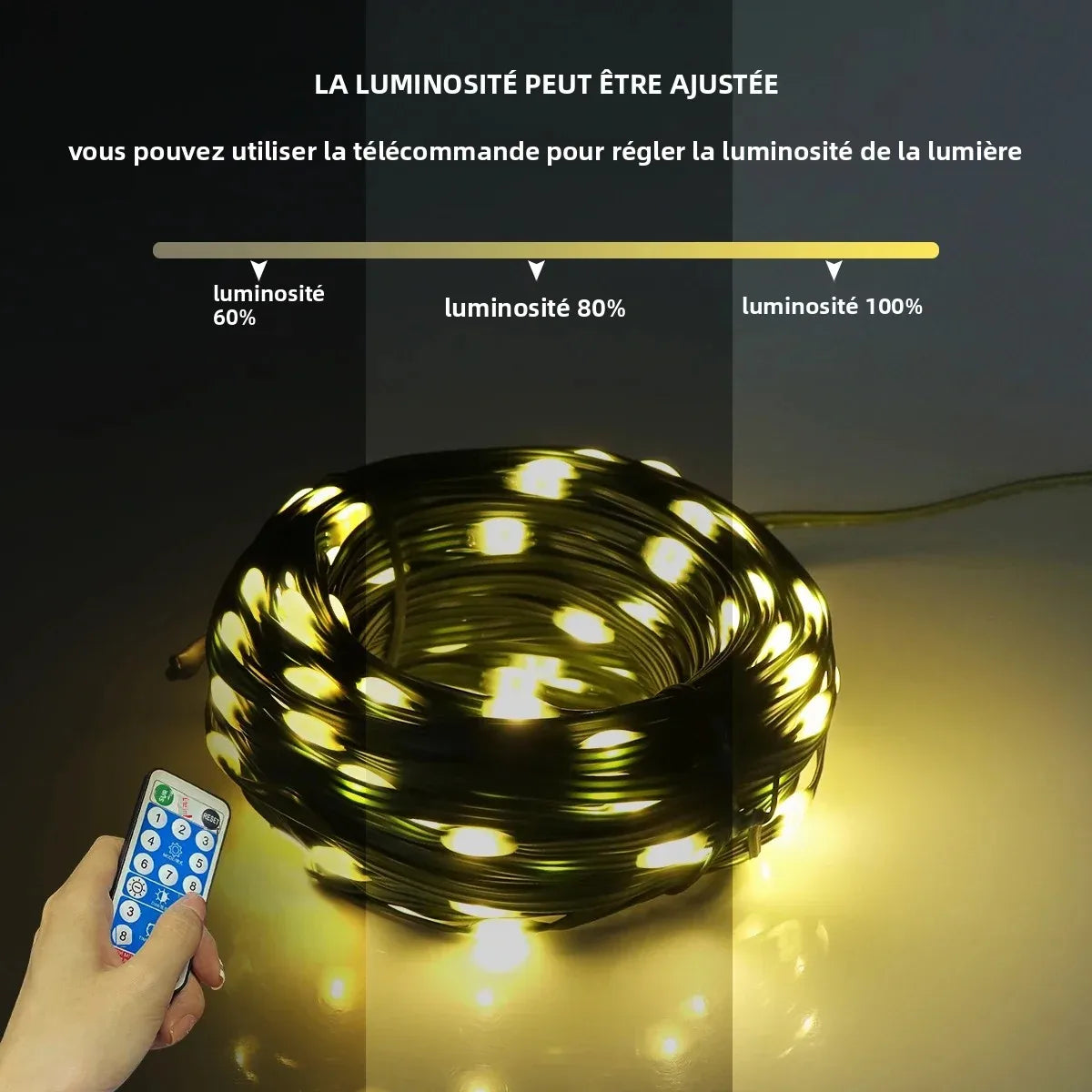 guirlande lumineuse led solaire modes multicolore moderne télécommande étanche ip65