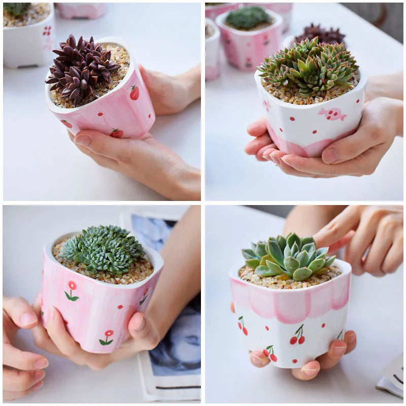 pots céramique porcelaine moderne rose blanc fleurs succulentes décoration plantes vertes ornement maison