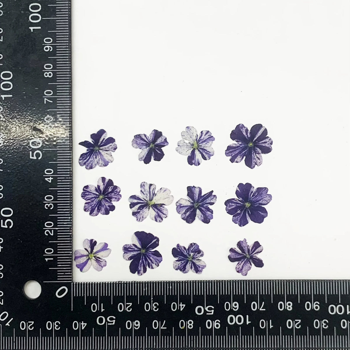 fleurs séchées violet rose blanc décor maison DIY craft nail art maquillage artisanales kit