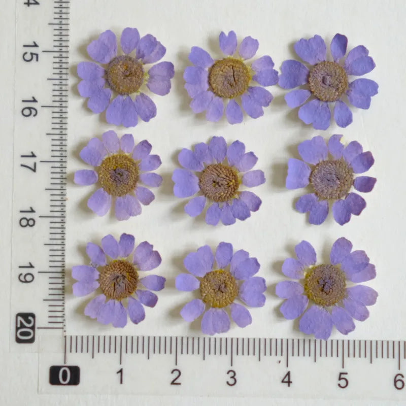 fleurs séchées multicolores bijoux résine décoration ongles maison intérieure artisanal anniversaire naturelles
