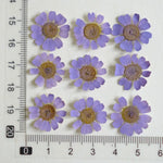fleurs séchées multicolores bijoux résine décoration ongles maison intérieure artisanal anniversaire naturelles