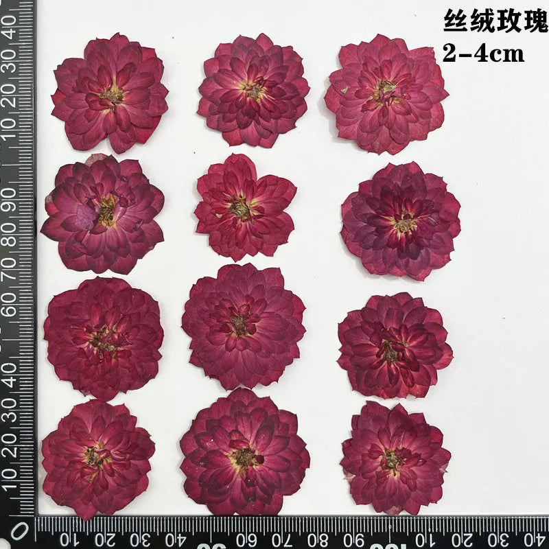 fleurs séchées naturelles rouge jaune blanc rose décoration maison intérieure bricolage scrapbooking abat jour