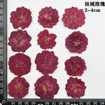 fleurs séchées naturelles rouge jaune blanc rose décoration maison intérieure bricolage scrapbooking abat jour